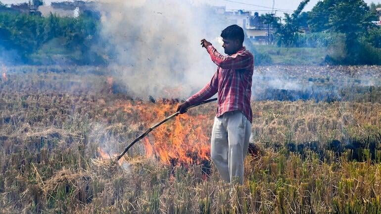 Burning of waste is easiest way to make it disappear, but have you thought its negative effects on our health and environment?