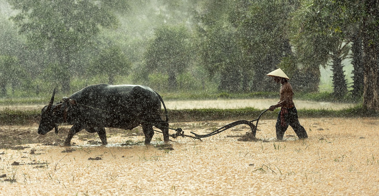 Farmers point of view to society's prejudices